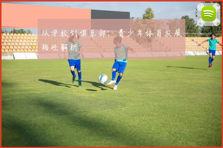 从学校到俱乐部:青少年体育发展路径解析