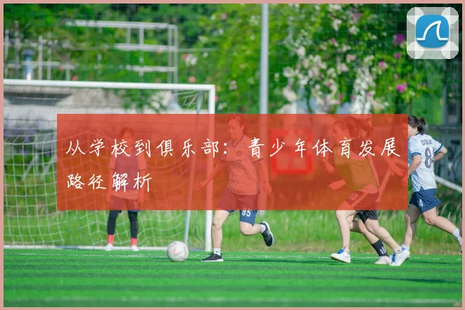 从学校到俱乐部:青少年体育发展路径解析